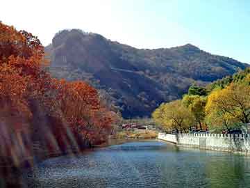 澳彩资料免费长期公开，上海排水板